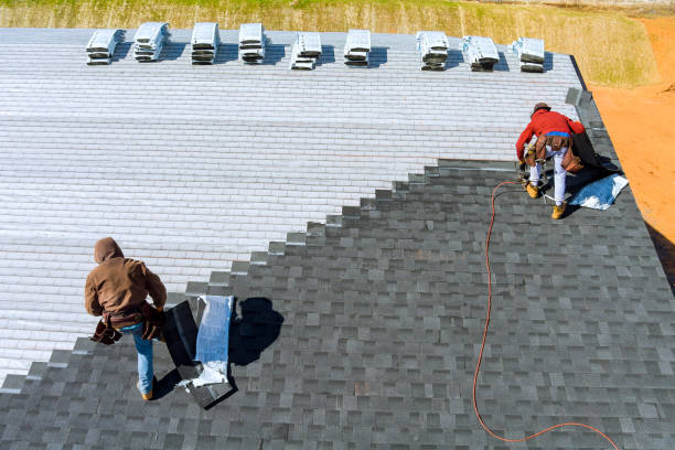 Best Metal Roofing Installation  in Staples, MN